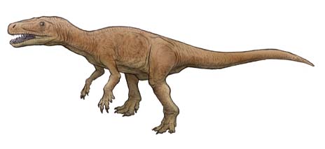 ヘレラサウルス