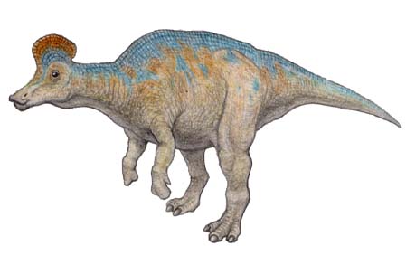 コリトサウルス