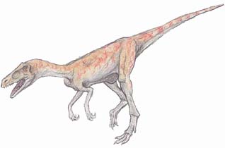 スタウリコサウルス