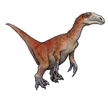 ネイモンゴサウルス