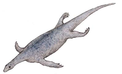 パキプレウロサウルス