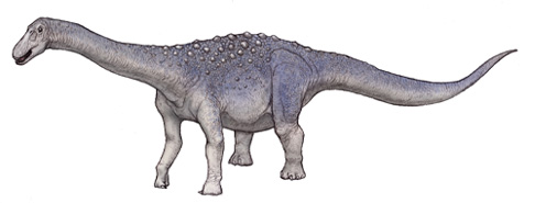 マジャーロサウルス