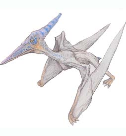 プテラノドン Pteranodon 恐竜のデジタル図鑑