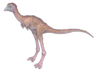 アルヴァレスサウルス
