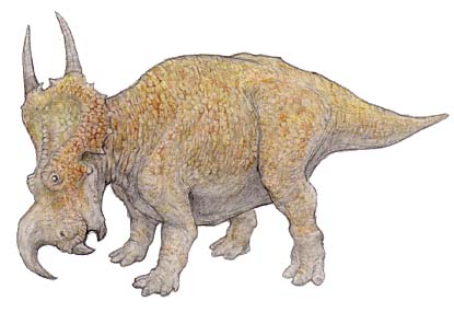 エイニオサウルス（Einiosaurus procurvicornis ） 恐竜のデジタル図鑑