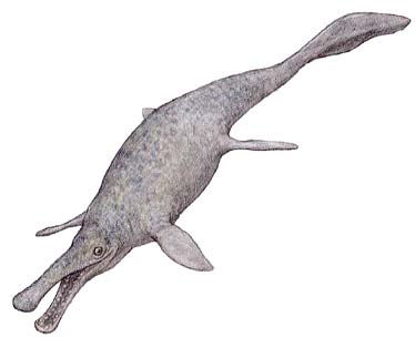 オムファロサウルス