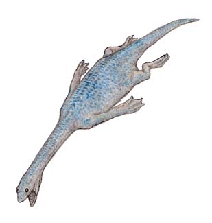 ケイチョウサウルス