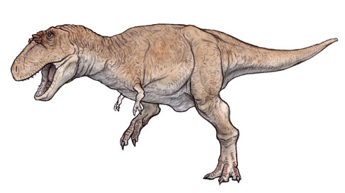 ゴルゴサウルス（Gorgosaurus） 恐竜のデジタル図鑑