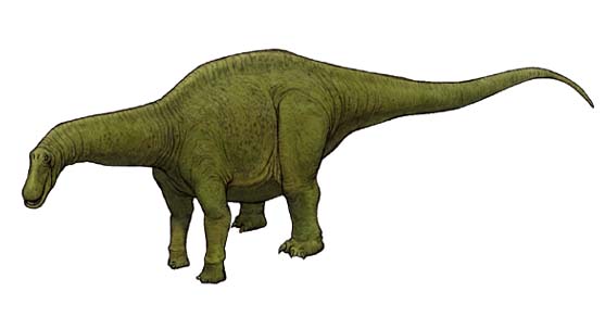 ディクラエオサウルス