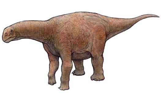 ヌロサウルス