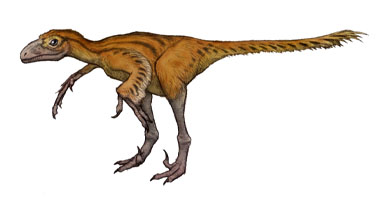 バンビラプトル Bambiraptor Feinbergorum 恐竜のデジタル図鑑