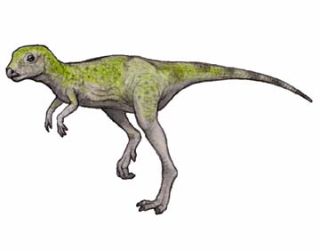 ピサノサウルス