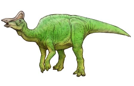ヒパクロサウルス