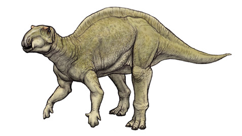フクイサウルス