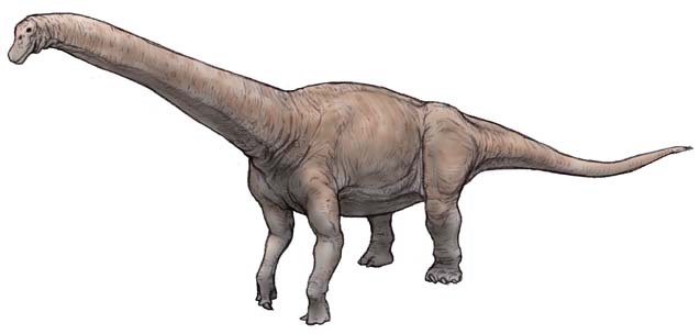 フタロンコサウルス
