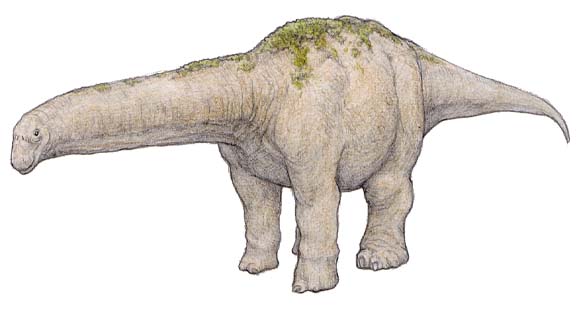 ブルハスカヨサウルス