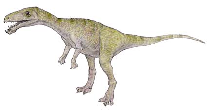 マシアカサウルス
