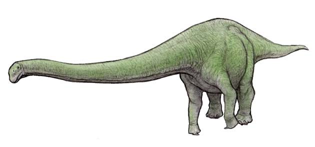 マメンチサウルス