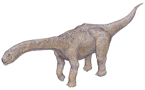 マラウィサウルス