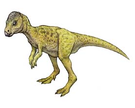 ミクロパキケファロサウルス