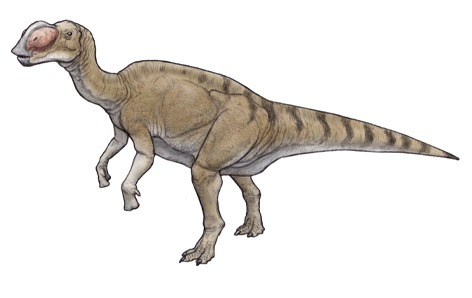 ムッタブラサウルス