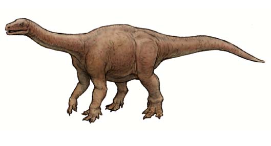 メラノロサウルス