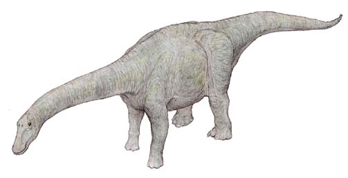 ラペトサウルス