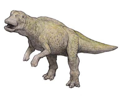 ランチョウサウルス