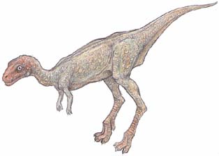 レソトサウルス