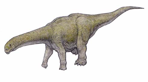 ロエトサウルス