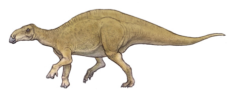 テルマトサウルス