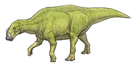 クリトサウルス