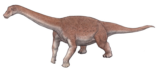 マシャカリサウルス