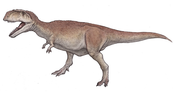 マプサウルス